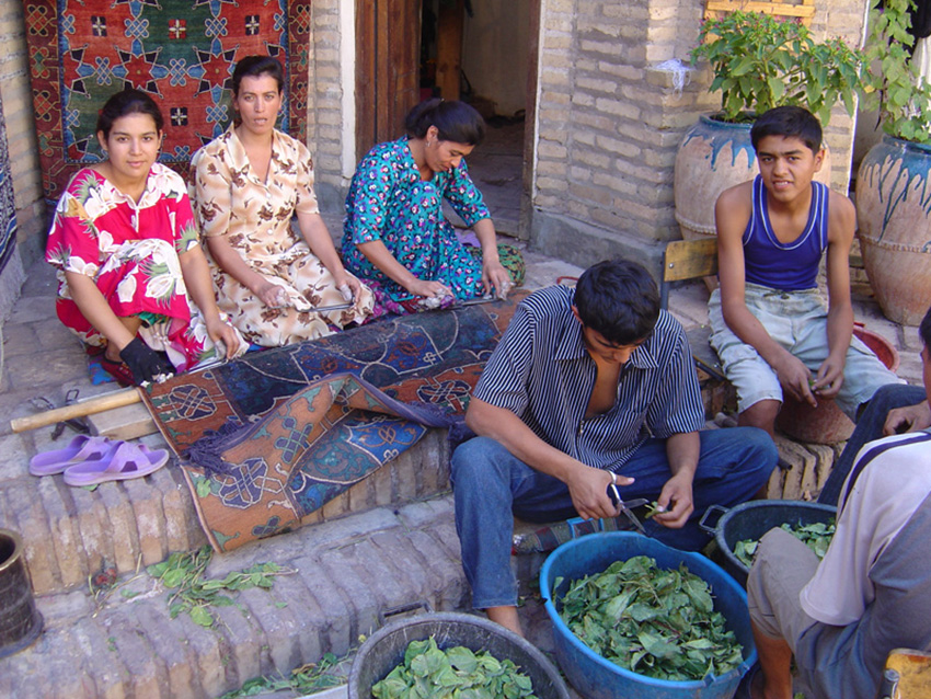 Dyeing-and-clipping